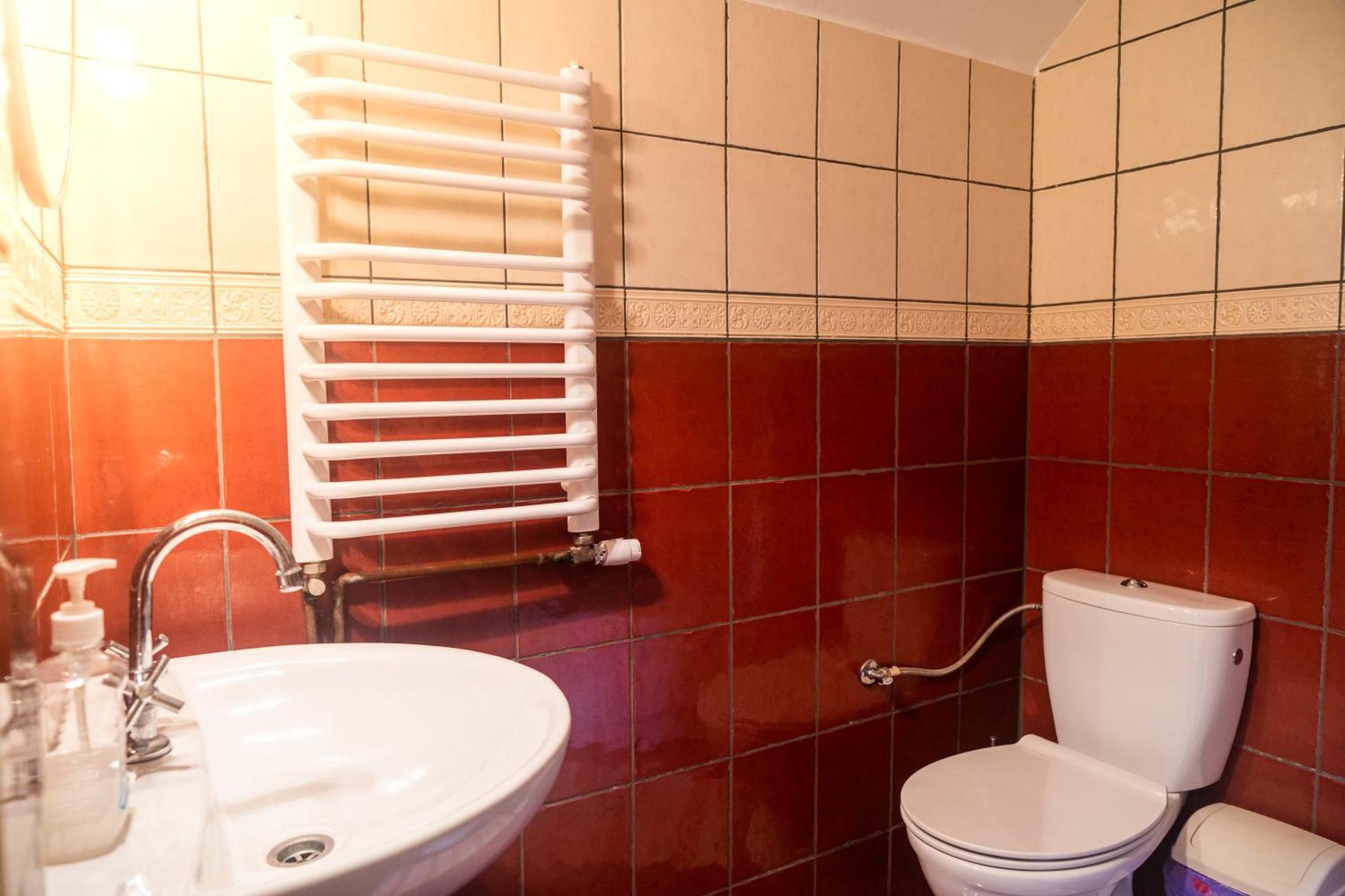 U Prezesa Apartment Lutowiska Ngoại thất bức ảnh